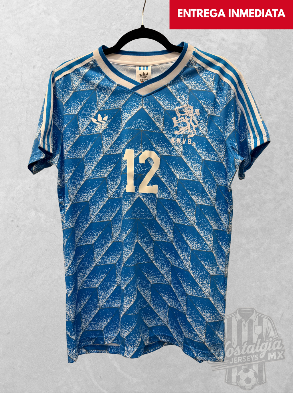 Holanda 1988 visita Van Basten 12 - S