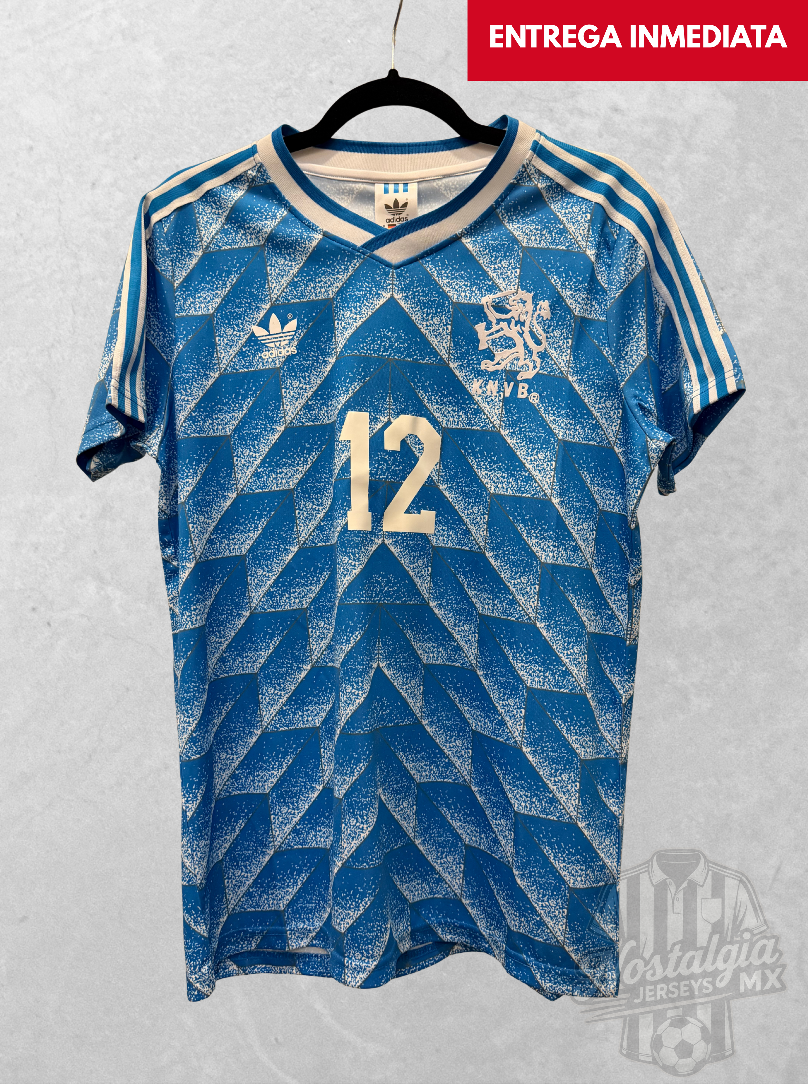 Holanda 1988 visita Van Basten 12 - S